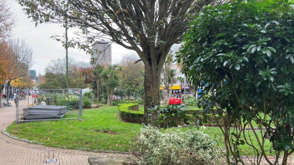 Plymouth City Council Leader issues statement on Armada Way trees